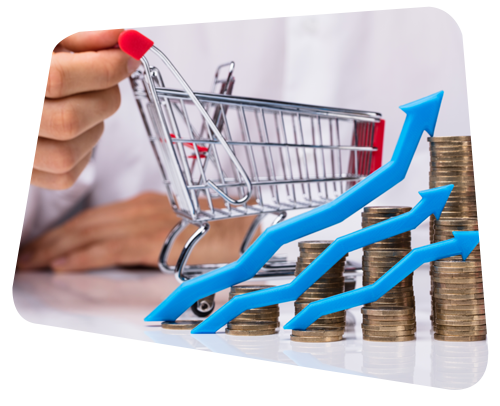 Maximize Ecommerce Revenue